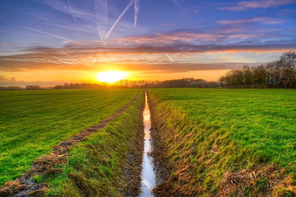 drainage ditch in green field, setting sun in background