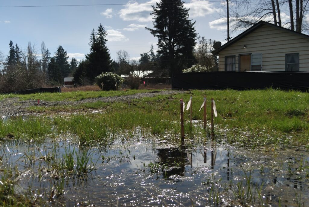 A backyard with swampy deep water deposits